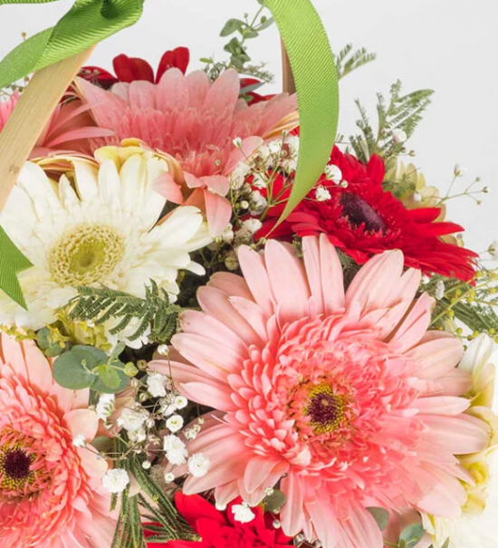 Baharın Renkleri Gerbera Sepeti - Görsel 2 - Uşak Çiçek