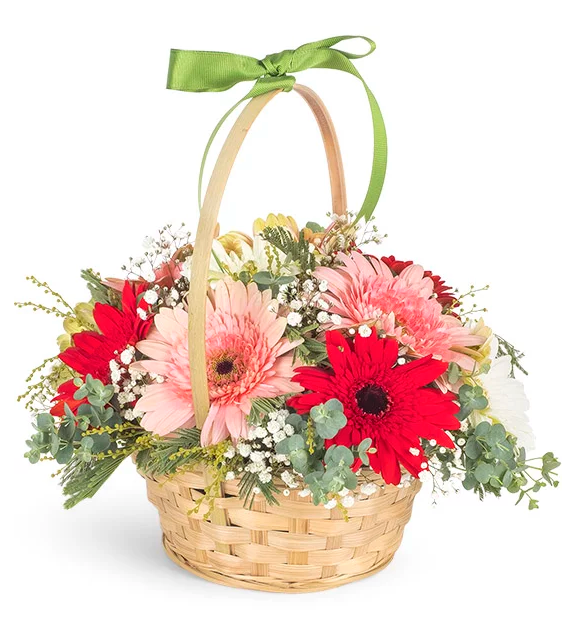 Baharın Renkleri Gerbera Sepeti - Uşak Çiçek Evi