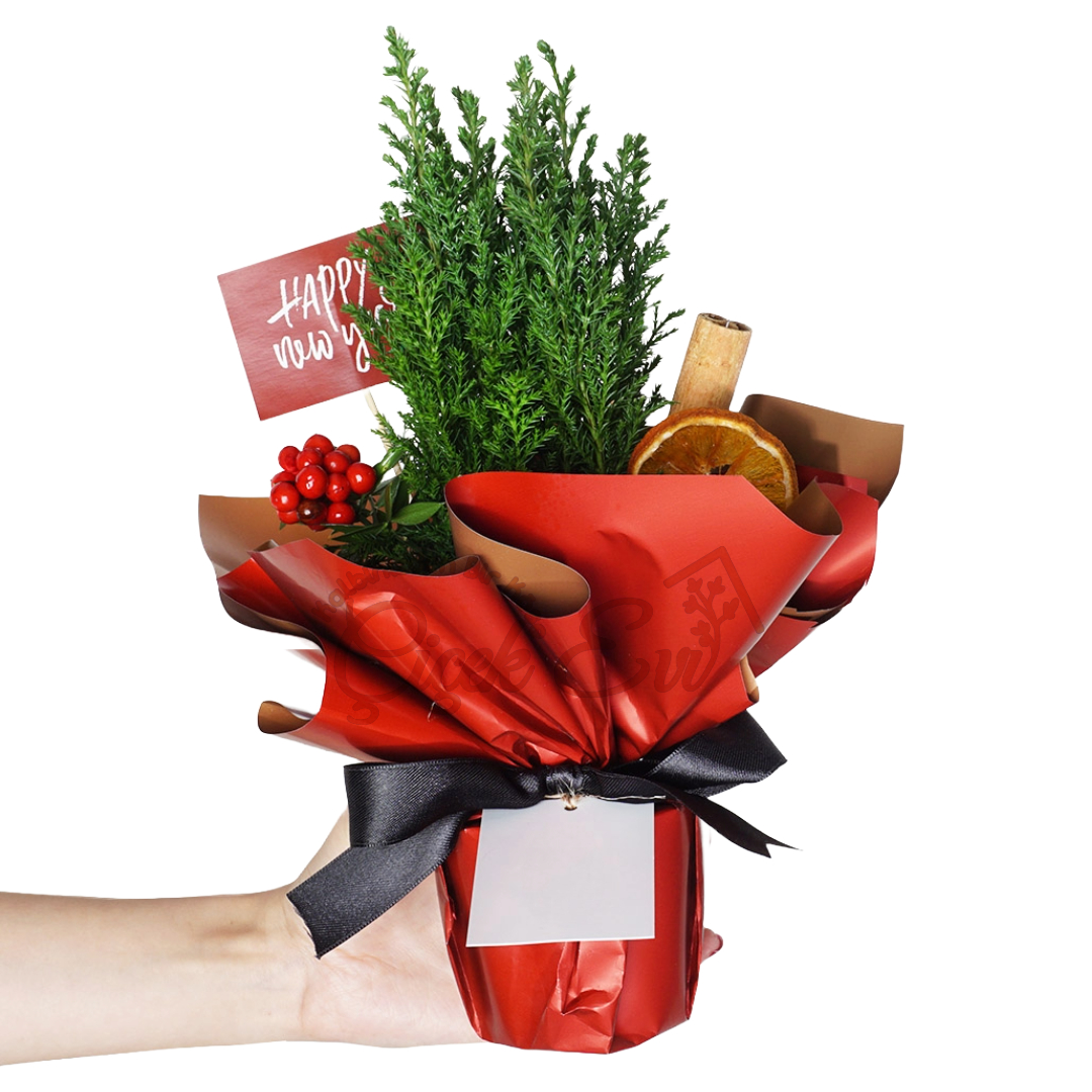 Happy New Year Gift (Yeni Yıl Çamı) - Uşak Çiçek Evi