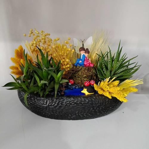 Hayal Bahçesi Minyatür Teraryum