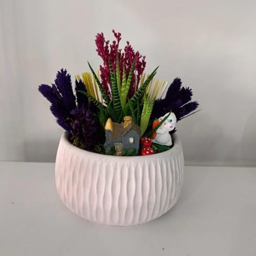 Minyatür Teraryum Bahçesi